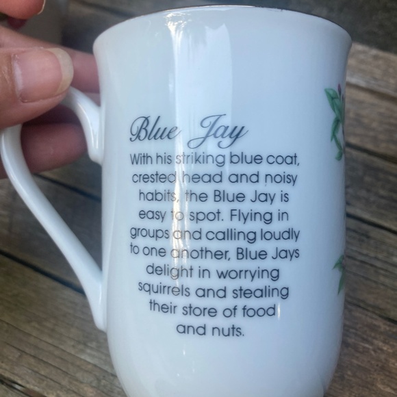 Audobon Blue Jay / Goldfinch Mugs - Picture 6 of 8